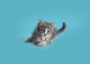 Photo of Cute fluffy kitten on light blue background