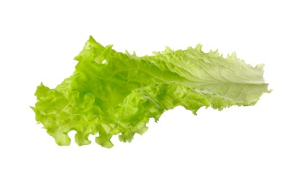 Photo of Leaf of fresh lettuce for burger isolated on white