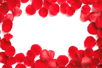 Frame made of red rose petals on white background, top view