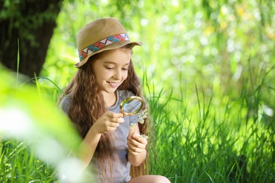 Photo of Little girl exploring plant outdoors. Summer camp