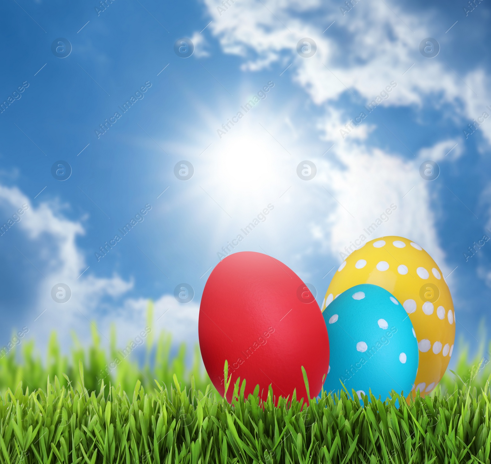 Image of Bright Easter eggs on green grass outdoors, space for text 