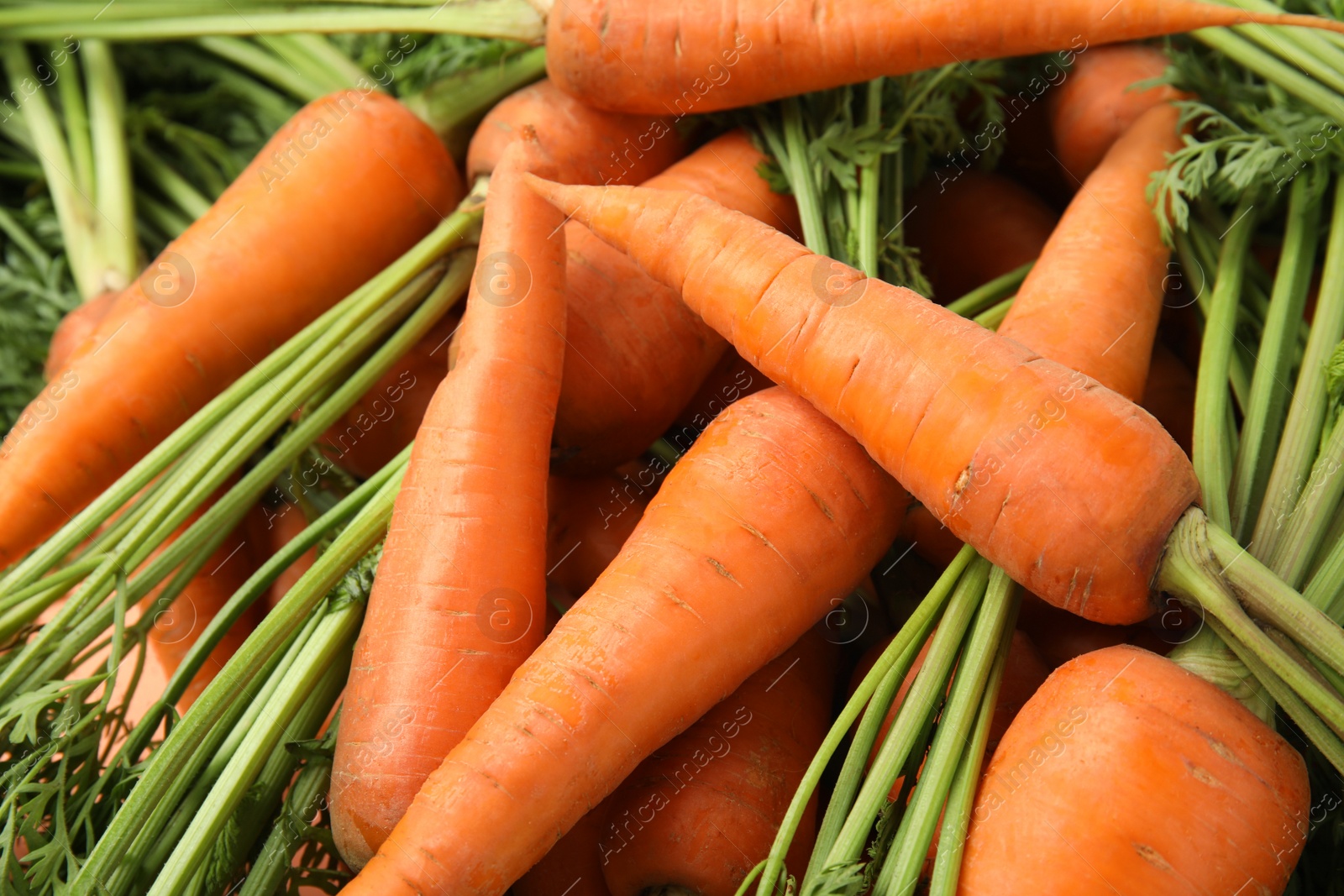 Photo of Fresh ripe carrots as background, closeup view