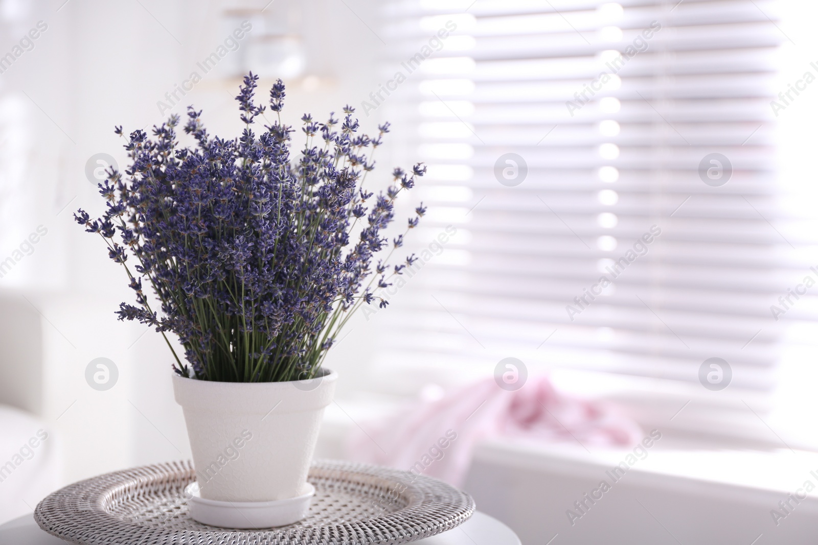 Photo of Beautiful lavender flowers on table indoors. Space for text