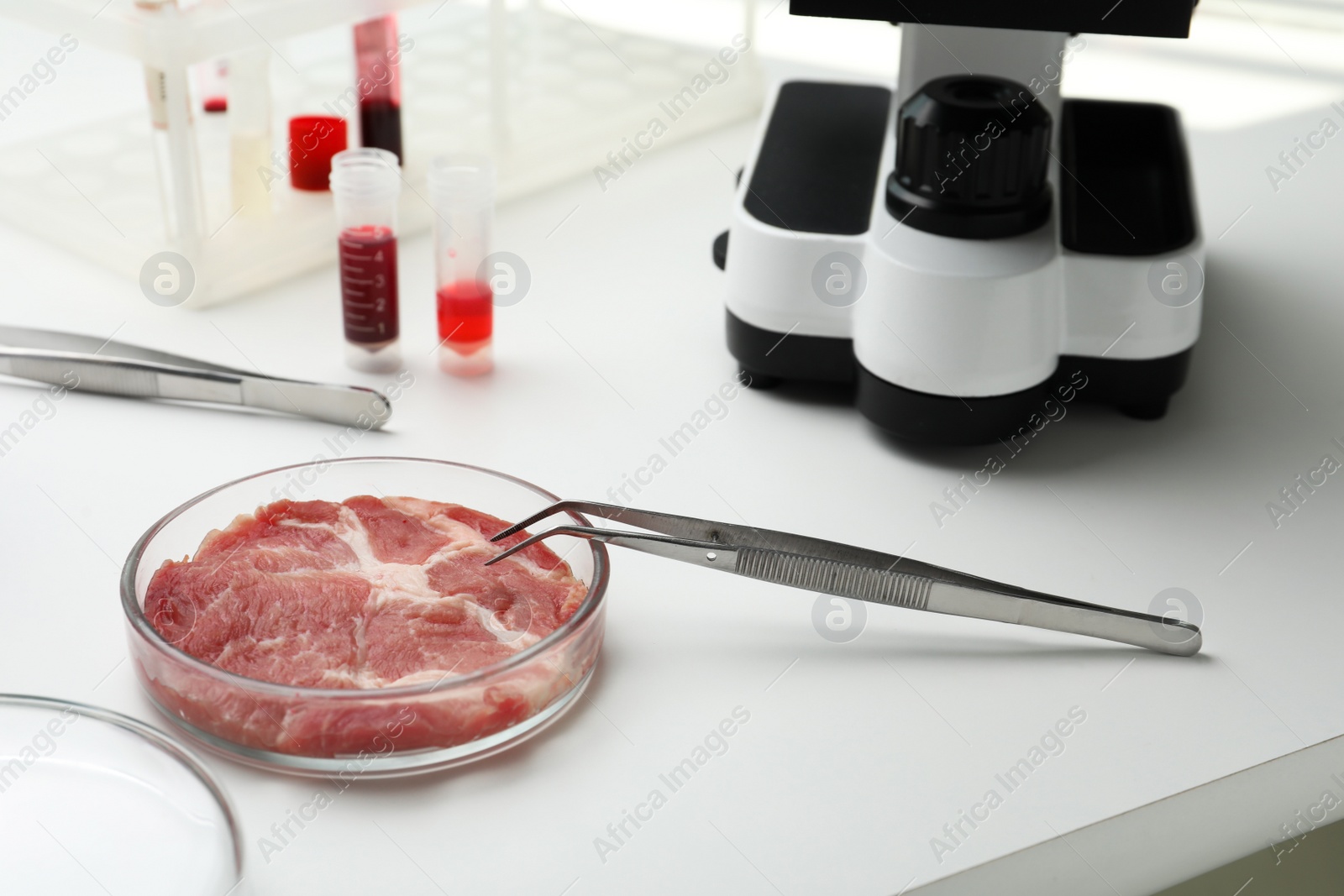 Photo of Sample of cultured meat on white lab table