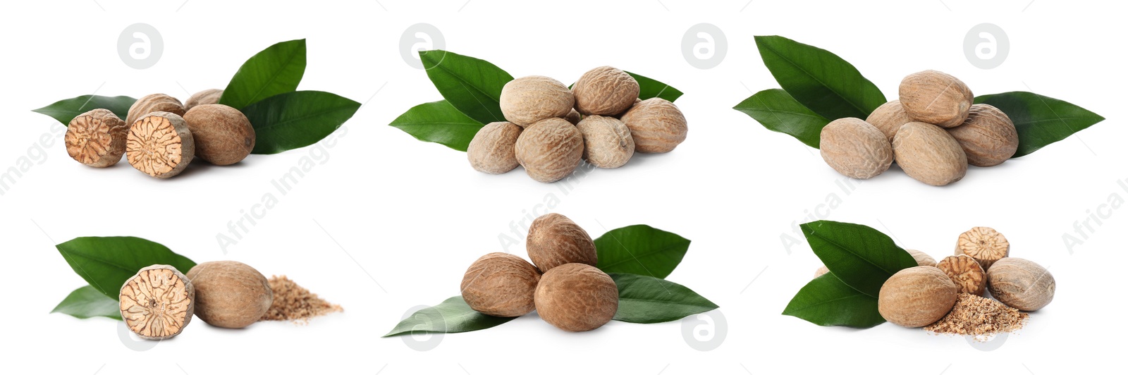 Image of Set with nutmeg seeds on white background. Banner design