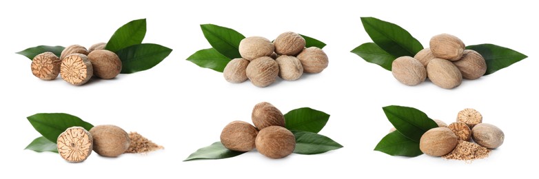 Image of Set with nutmeg seeds on white background. Banner design