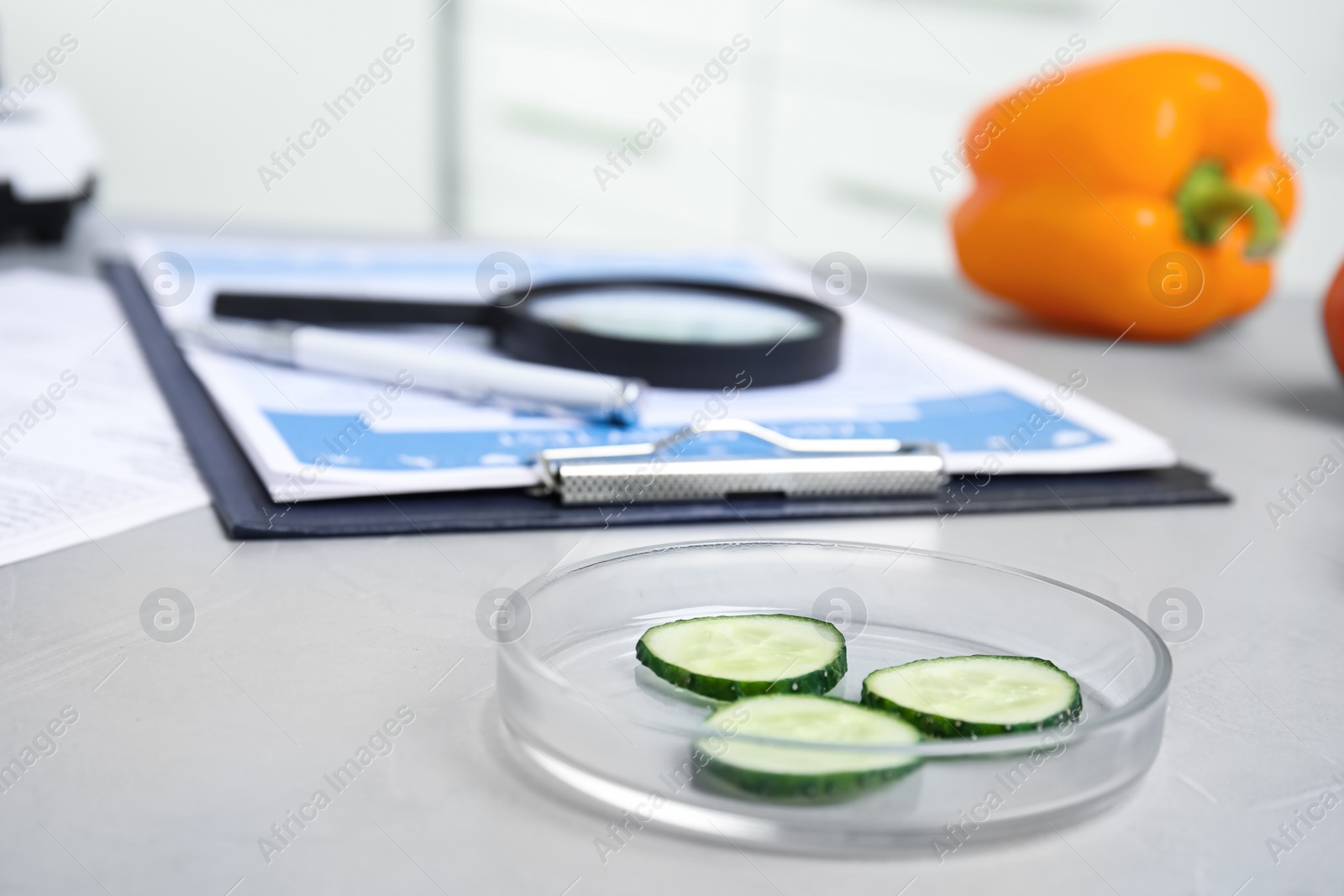 Photo of Petri dish with slices of cucumber on table in laboratory, space for text. Poison detection