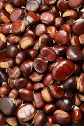 Photo of Top view of fresh edible sweet chestnuts as background, closeup