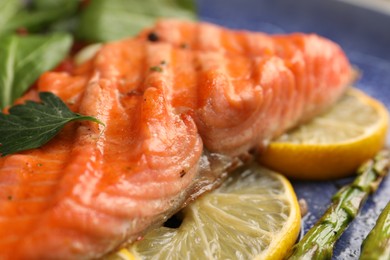 Photo of Tasty grilled salmon with lemon and spices on plate, closeup