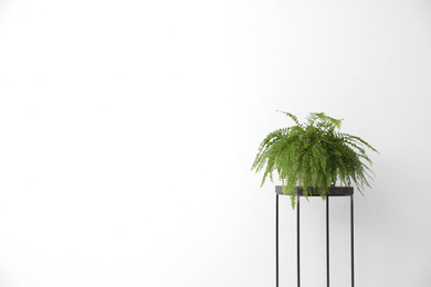 Photo of Potted fern on table near white wall, space for text. Home plants