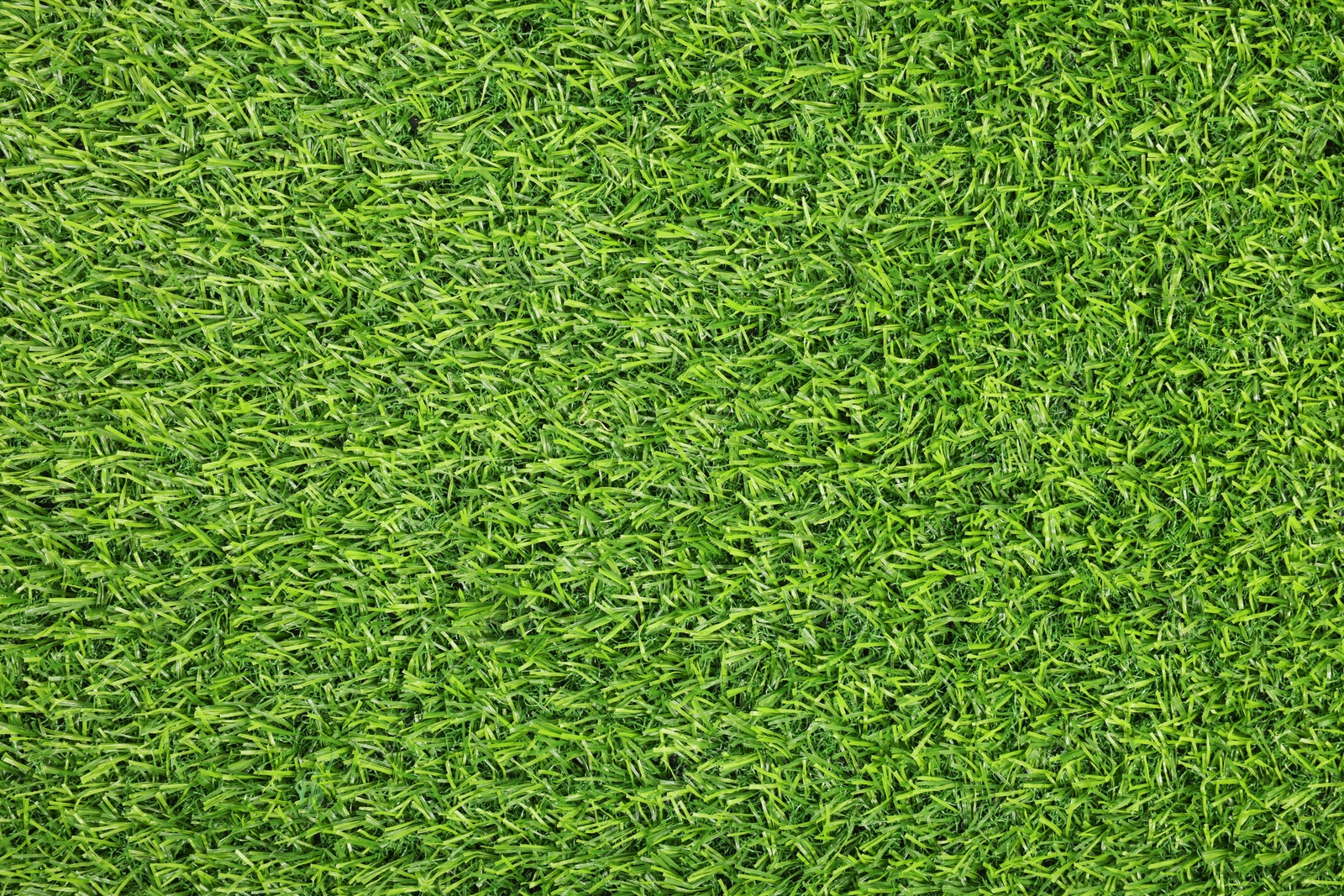 Photo of Green artificial grass as background, top view