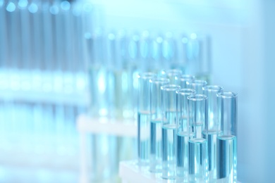Photo of Rack with test tubes in laboratory, closeup. Chemical analysis