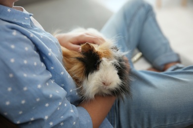 Little child with guinea pig at home, closeup. Lovely pet