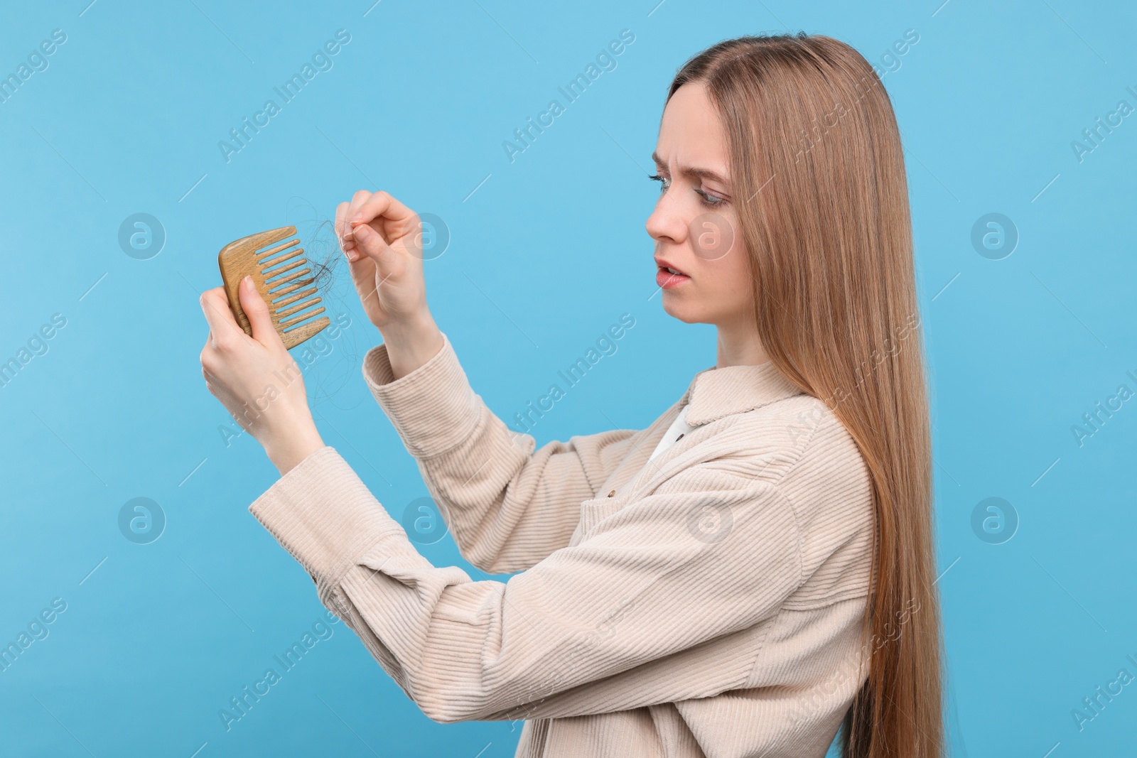 Photo of Woman untangling her lost hair from comb on light blue background. Alopecia problem