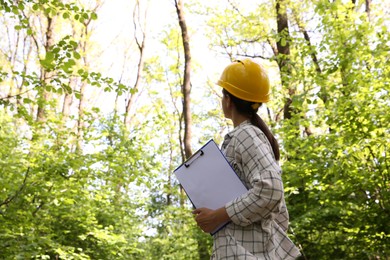 Forester in hard hat with clipboard examining plants in forest