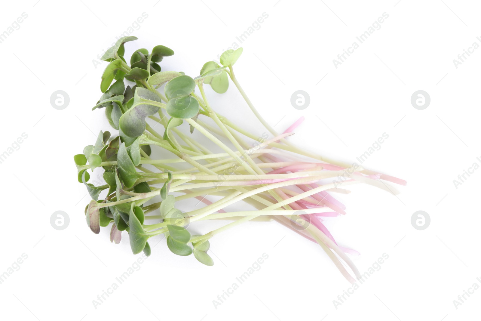 Photo of Fresh organic microgreen on white background, top view