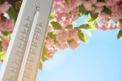 Image of Thermometer and blossoming sakura tree outdoors, low angle view. Temperature in spring