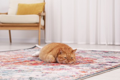 Photo of Cute ginger cat lying on carpet at home