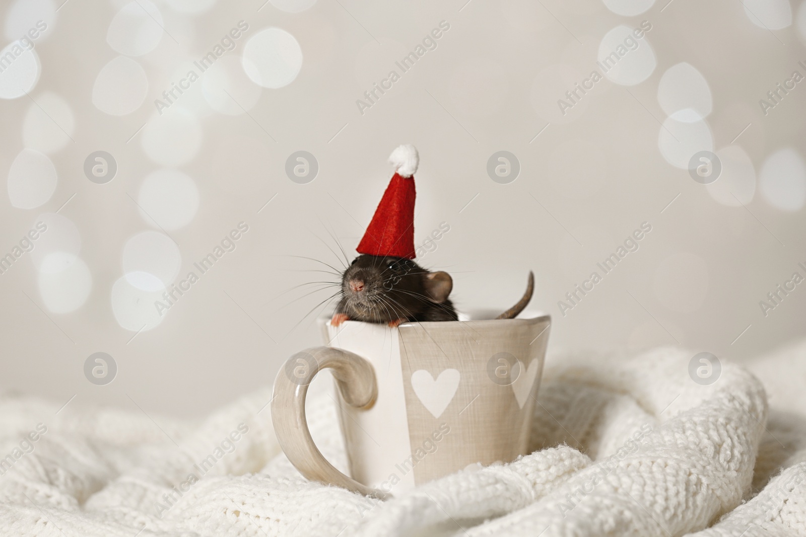 Photo of Cute little rat with Santa hat in cup on knitted blanket against blurred lights. Chinese New Year symbol