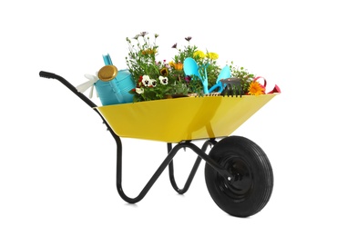 Photo of Wheelbarrow with flowers and gardening tools isolated on white