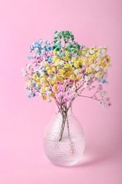 Beautiful dyed gypsophila flowers in glass vase on pink background