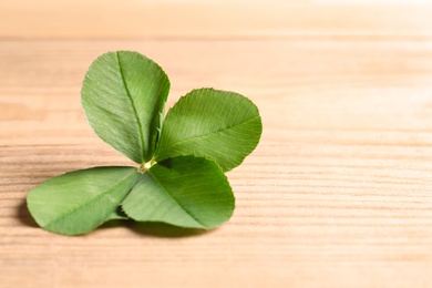 Photo of Green four-leaf clover on wooden background with space for text