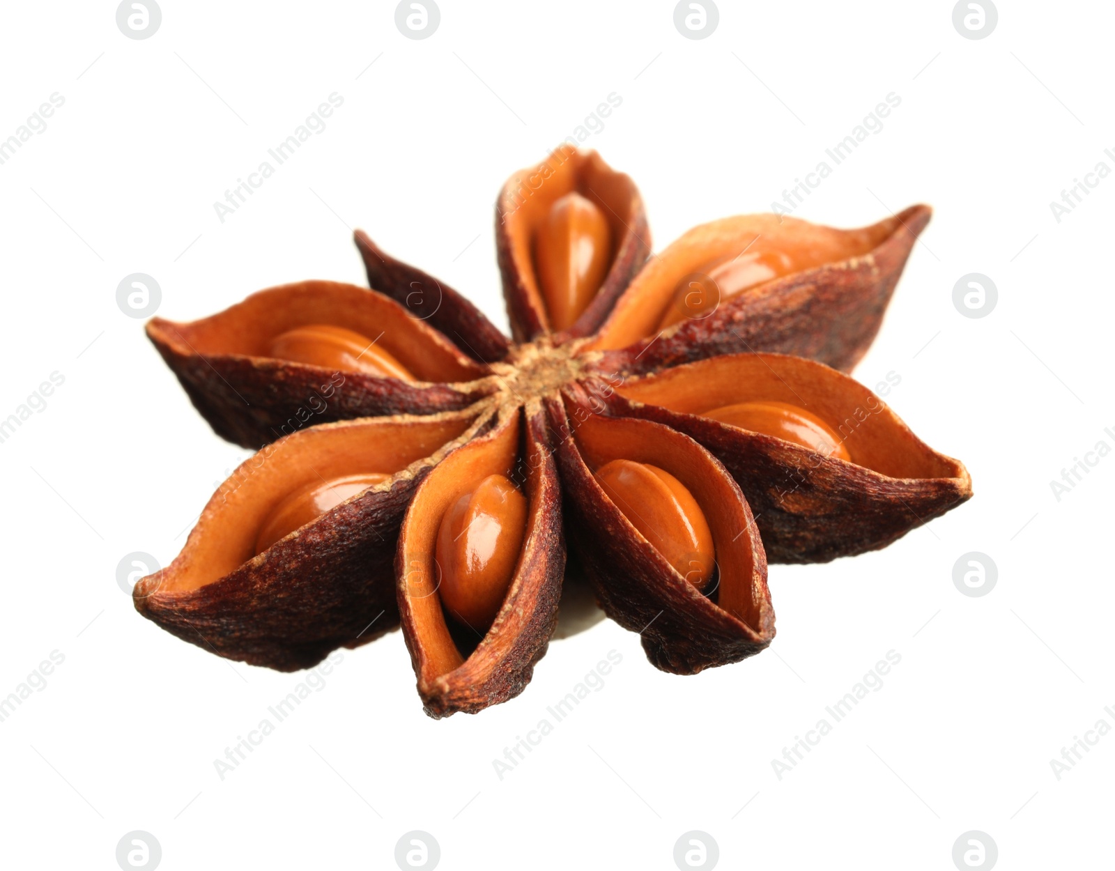 Photo of Dry anise star with seeds isolated on white