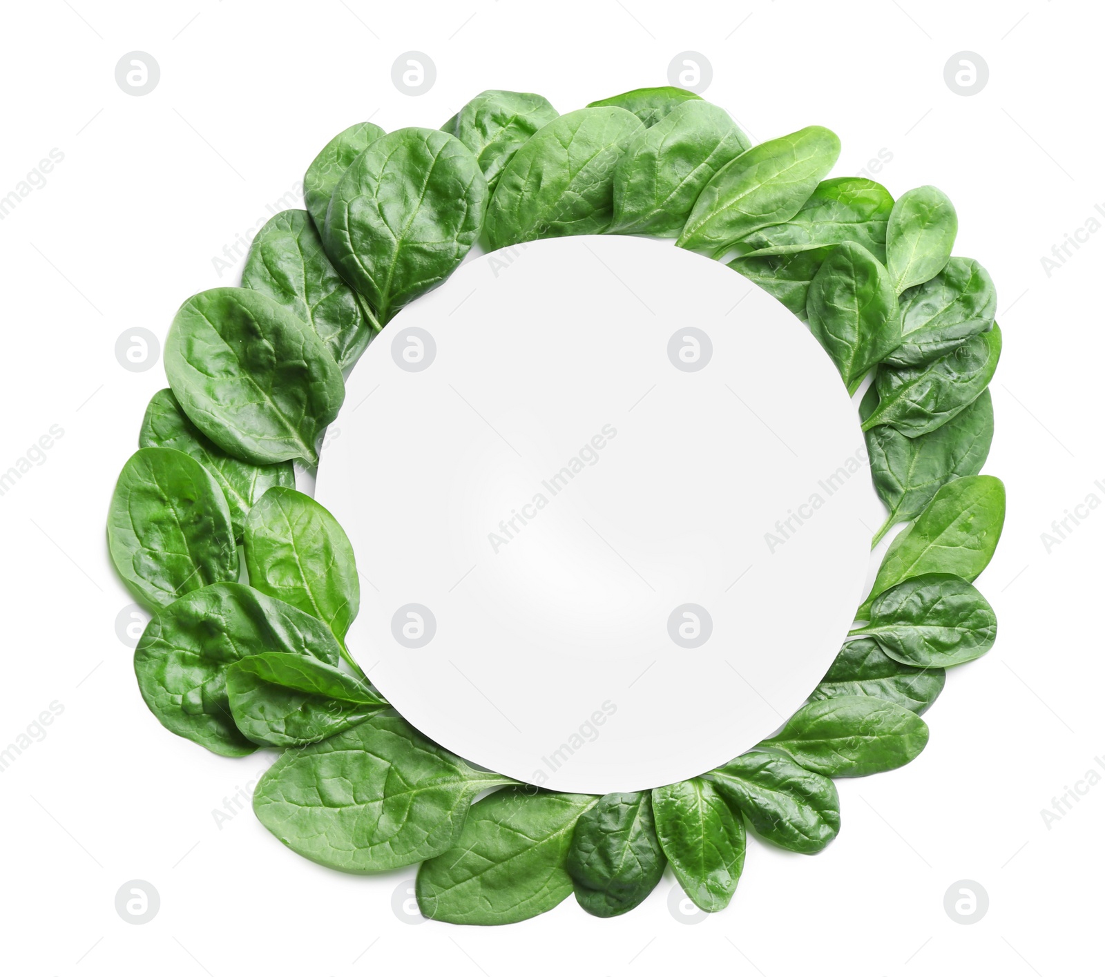 Photo of Fresh green healthy baby spinach leaves and blank card on white background, top view. Space for text