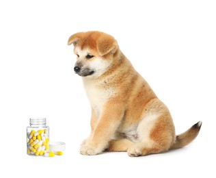 Image of Vitamins for pets. Cute dog and bottle with pills on white background