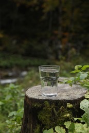 Glass of fresh water on stump in forest. Space for text