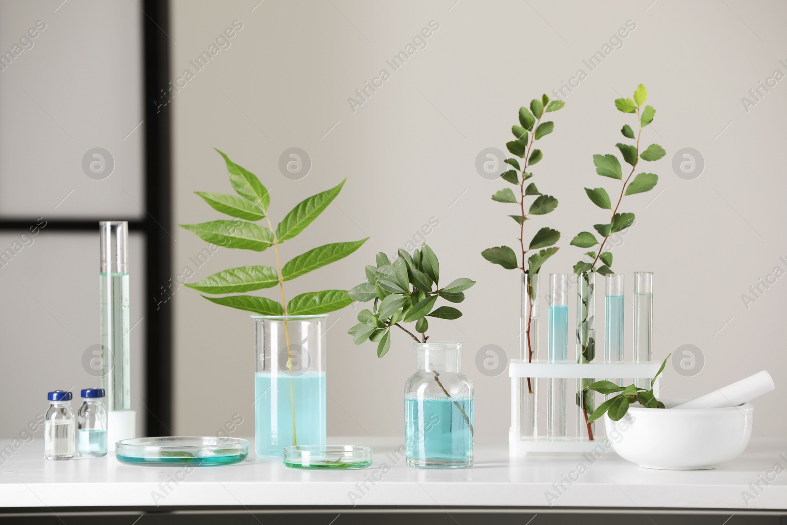 Photo of Many glass tubes with leaves on white table indoors