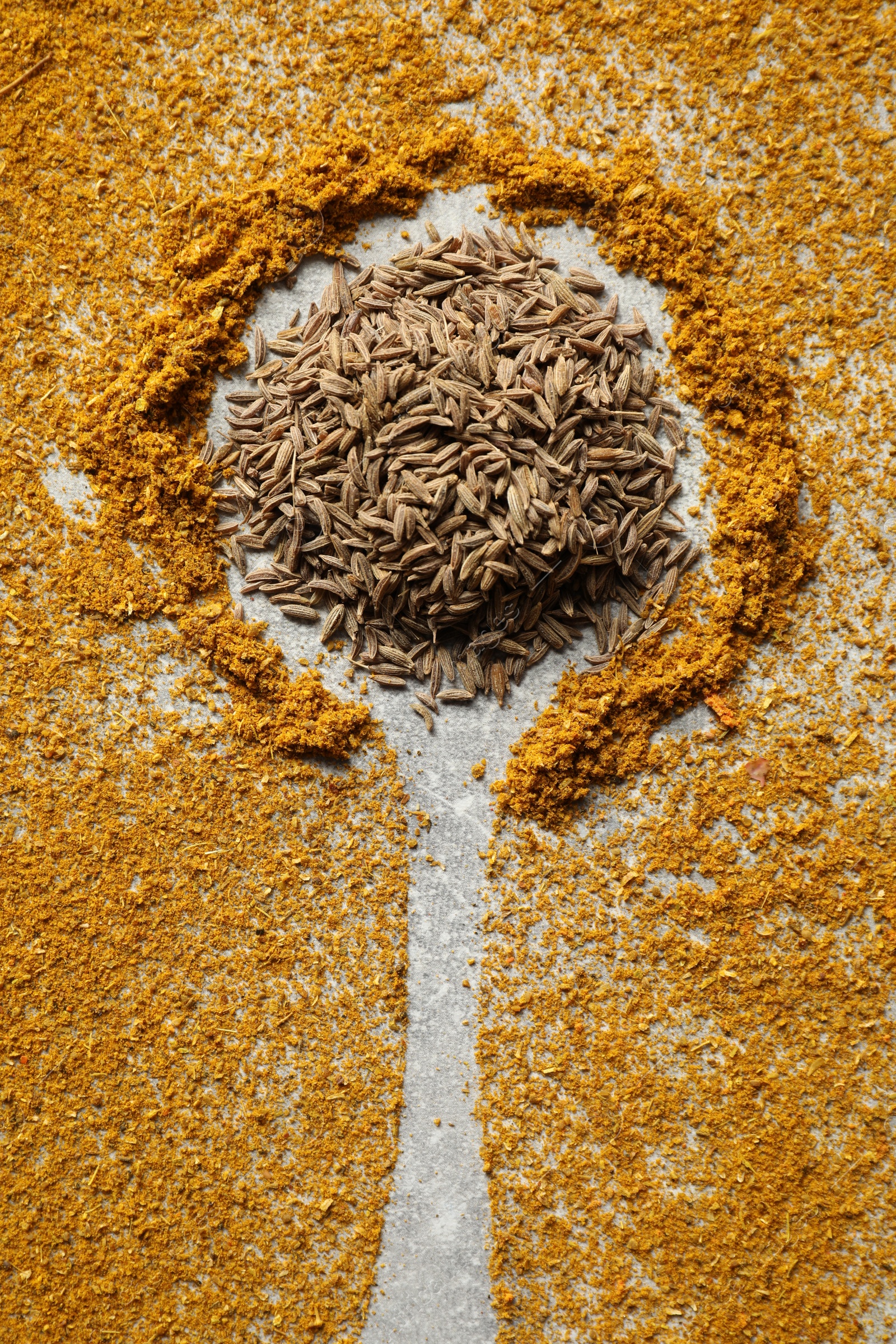 Photo of Different spices and silhouette of spoon light grey table, flat lay