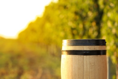Photo of Wooden wine barrel at vineyard, space for text
