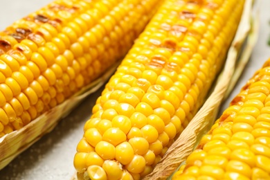 Delicious grilled corn cobs on light table, closeup