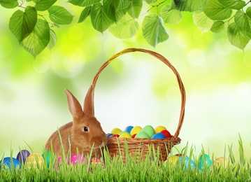 Image of Cute bunny and wicker basket with colorful Easter eggs on green grass outdoors