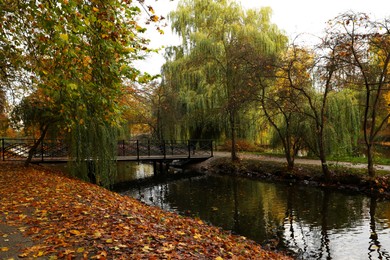 Beautiful park with yellowed trees and river