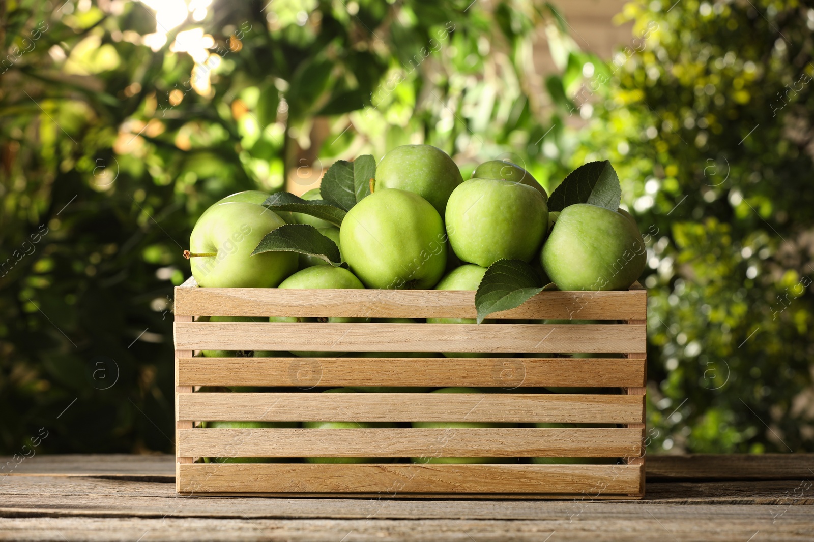 Photo of Crate full of ripe green apples and leaves on wooden table outdoors