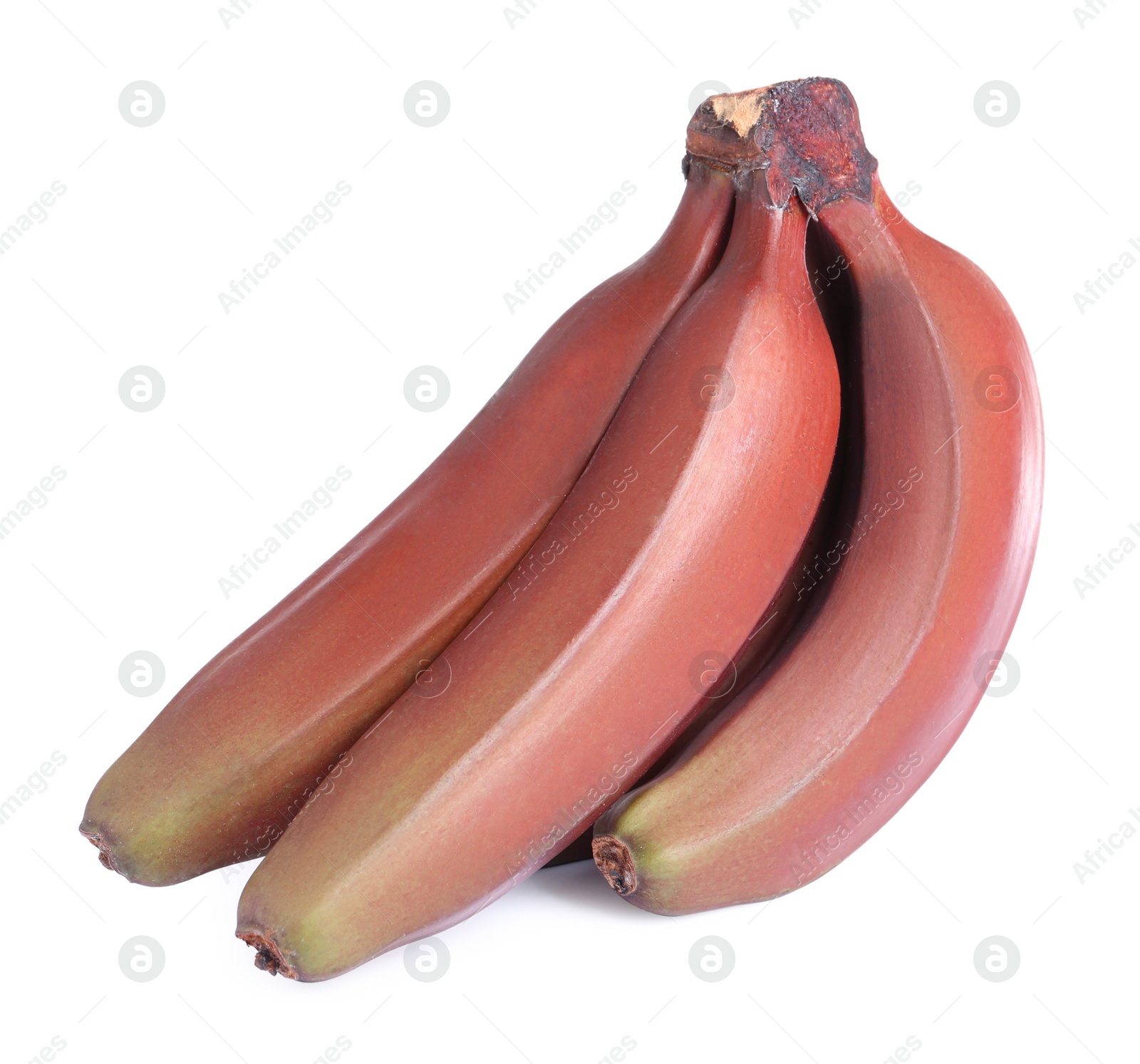 Photo of Delicious red baby bananas on white background