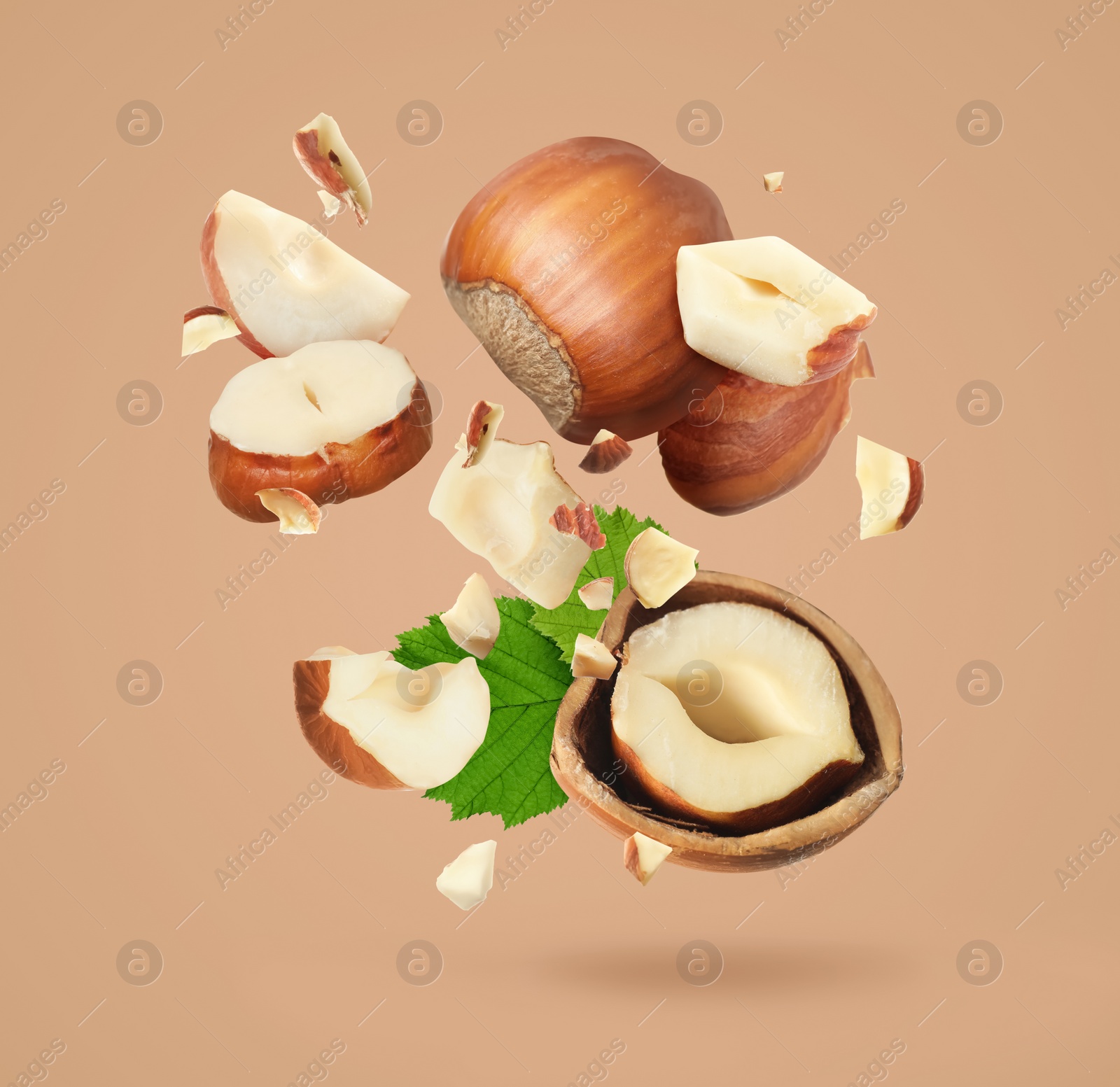 Pieces of tasty hazelnuts falling on beige background Image of Pieces of tasty hazelnuts falling on beige background