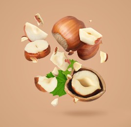 Image of Pieces of tasty hazelnuts falling on beige background
