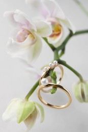 Elegant pearl rings and orchid flowers on white background, closeup