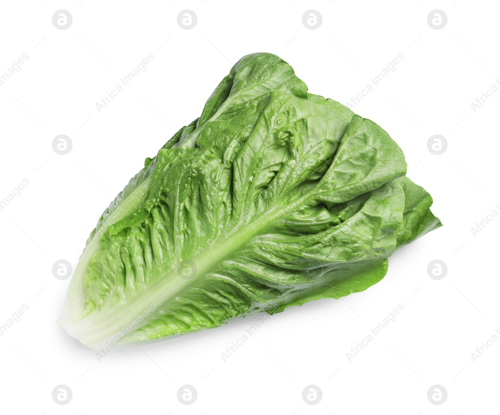 Photo of Fresh green romaine lettuce isolated on white, top view
