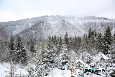 Beautiful landscape with forest on snowy winter day