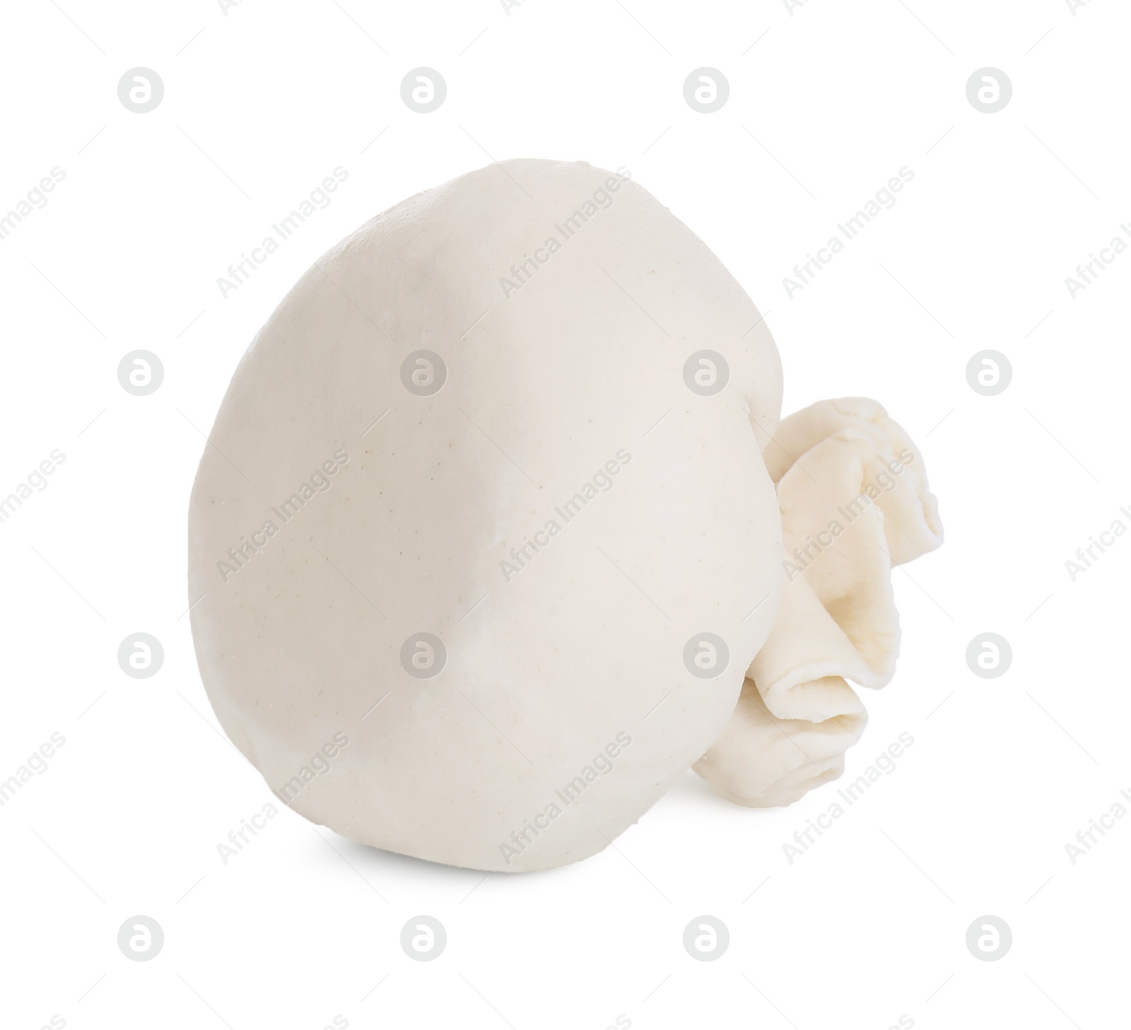 Photo of Uncooked khinkali (dumpling) isolated on white. Georgian cuisine