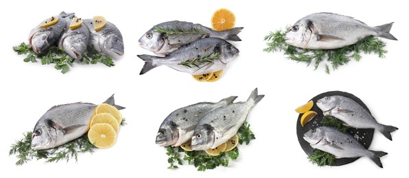 Image of Raw dorada fish, lemon and herbs isolated on white, set