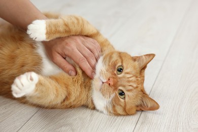 Photo of Woman petting cute ginger cat on floor at home, closeup
