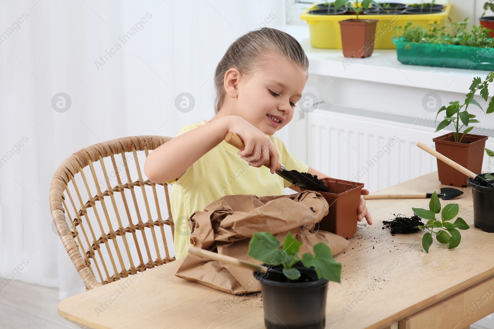 Photo of Cute little girl planting seedling into pot at wooden table in room