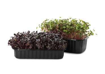 Photo of Fresh radish microgreens in plastic containers on white background