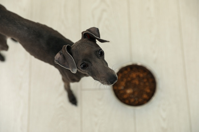 Photo of Italian Greyhound dog near feeding bowl at home, above view