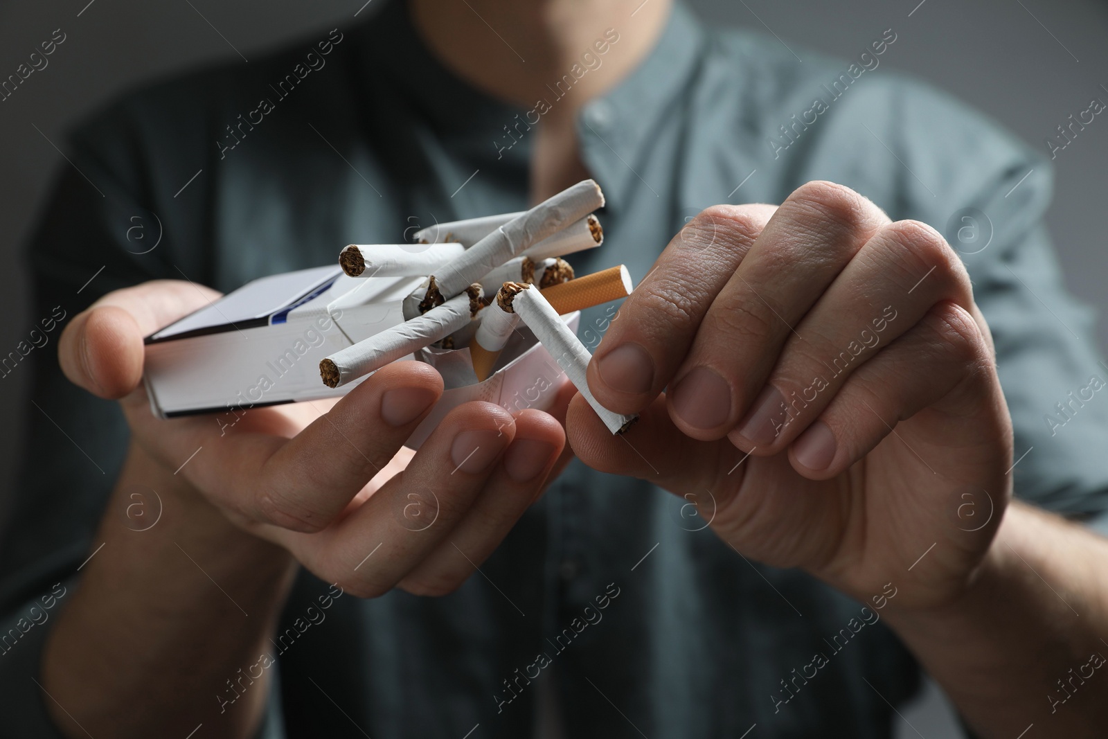 Photo of Stop smoking. Man holding pack with broken cigarettes on grey background, closeup